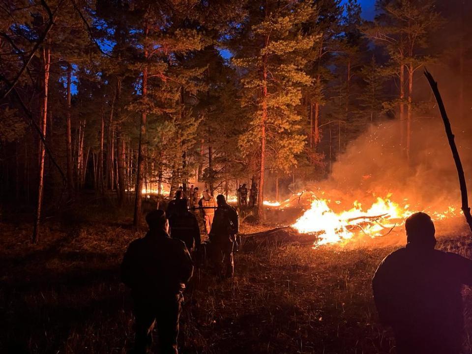 Пожарные остановили распространение лесного пожара в Абайской области 