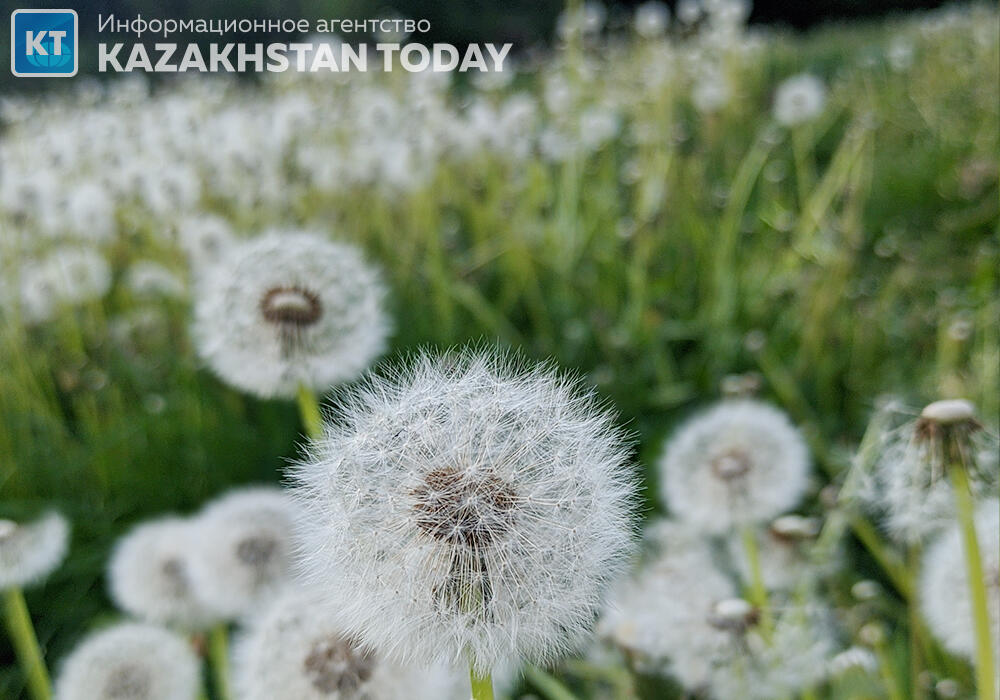 Синоптики рассказали о погоде в Казахстане в среду
