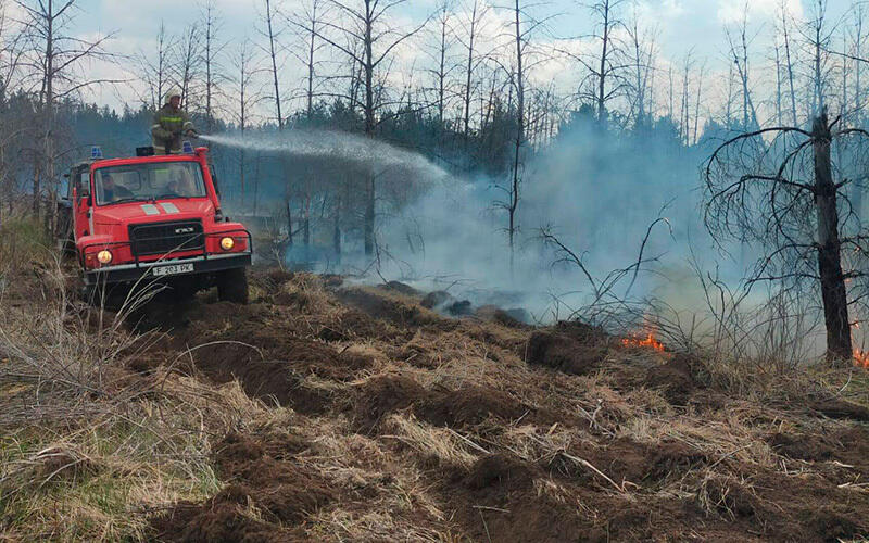 Для тушения лесного пожара в Абайской области прибыли дополнительные силы