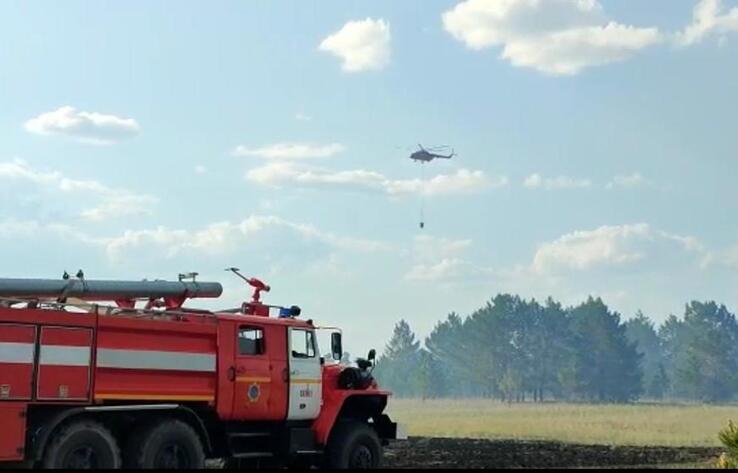 Лесной пожар в Абайской области