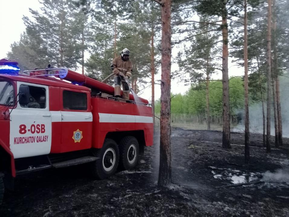 Лесной пожар в Абайской области локализован