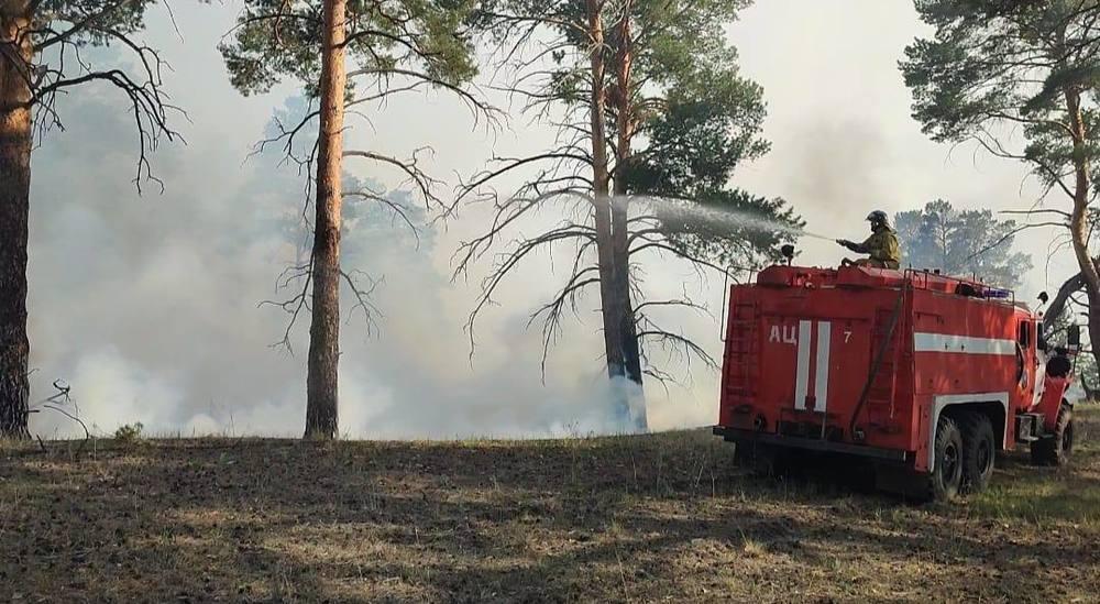 Firefighters manage to bring wildfire in Abai region under control
