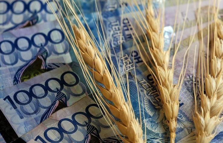 Казахстанским фермерам выплатили 7,5 млрд тенге на удобрения