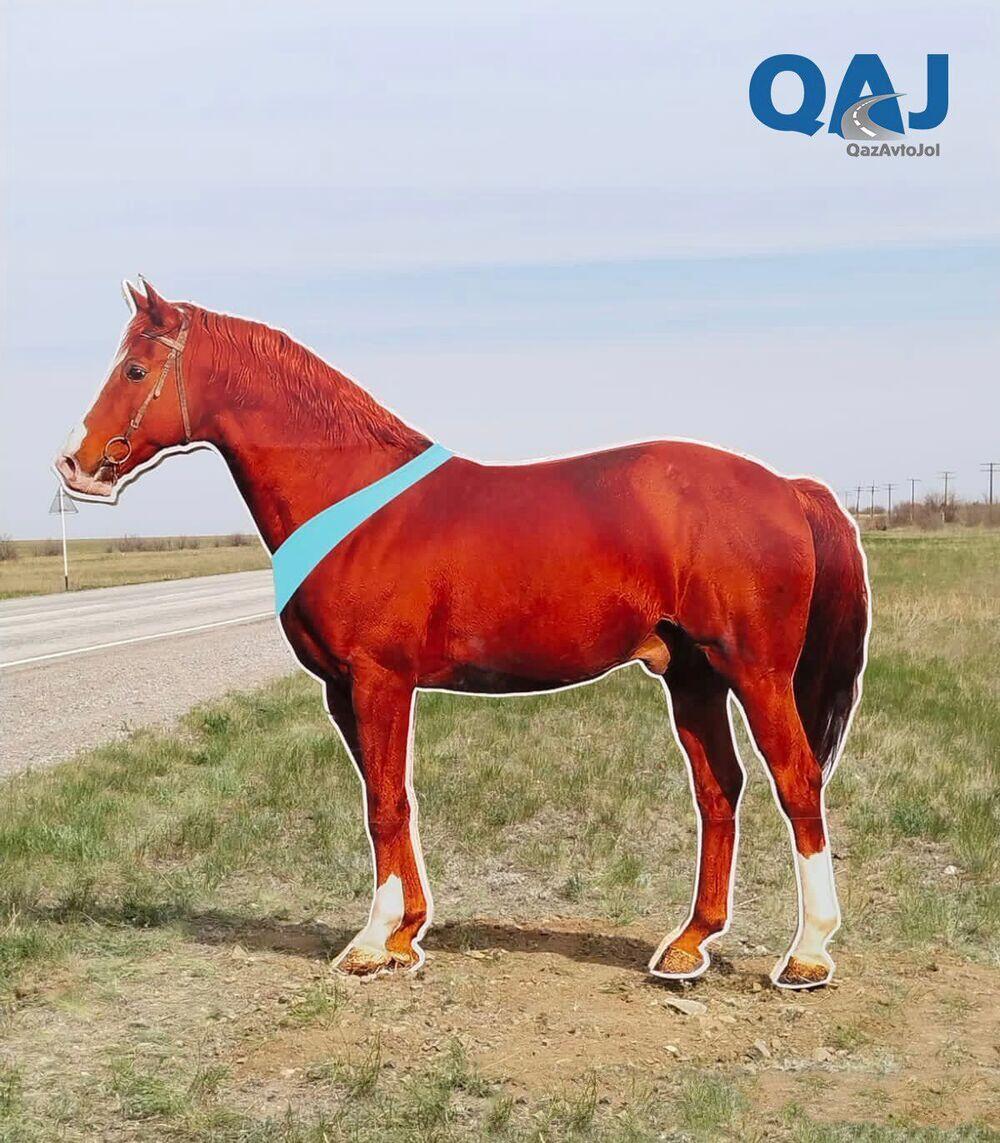 В Казахстане на республиканских трассах устанавливают муляжи домашних животных