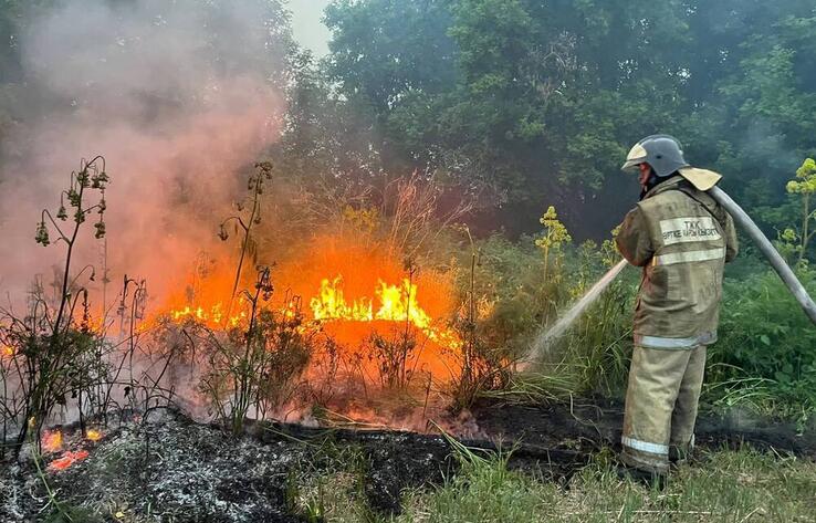 В Абайской области тушат крупный лесной пожар