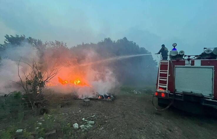 Пожар в Абайской области: потеряна связь с 14 работниками лесничеств