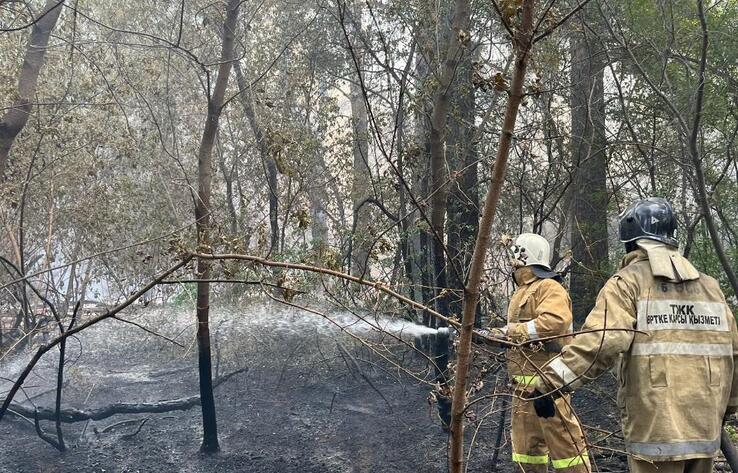 Лесной пожар в Абайской области: погибли трое работников лесничества