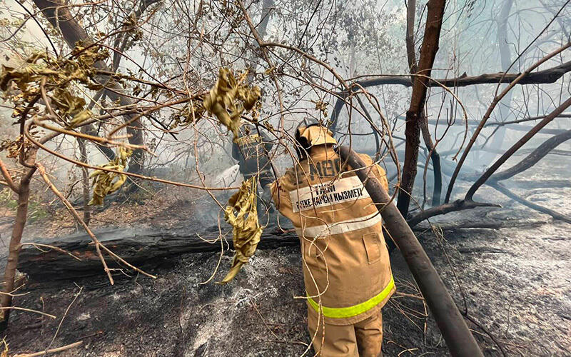 Природный пожар в Абайской области. Фото: МЧС РК