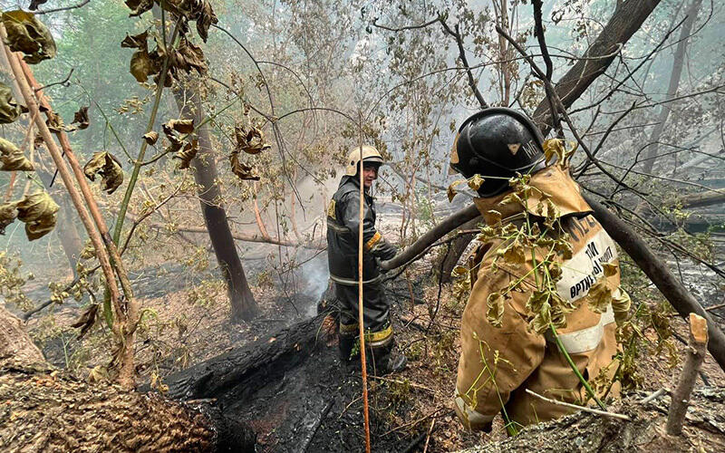 Природный пожар в Абайской области. Фото: МЧС РК