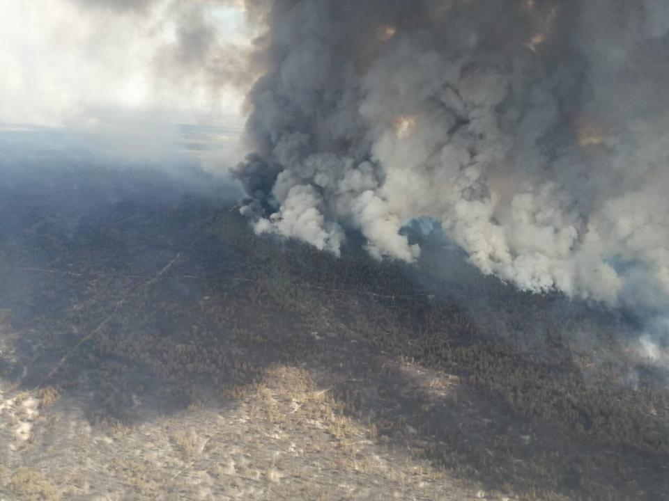 В Минэкологии назвали предварительную причину пожара в Абайской области 