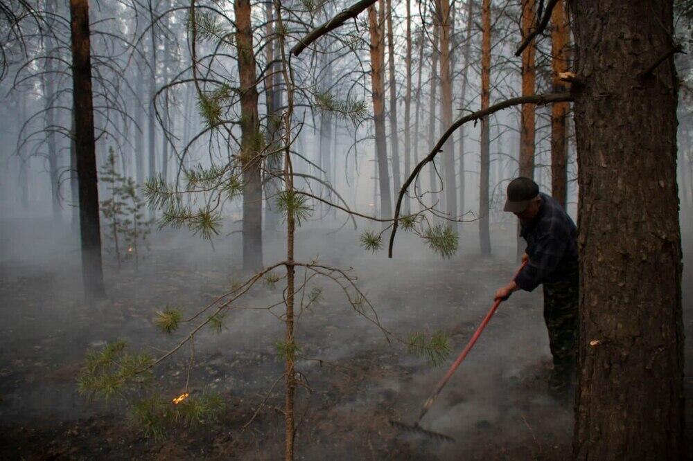 Площадь лесного пожара в области Абай выросла до 60 тыс гектаров 