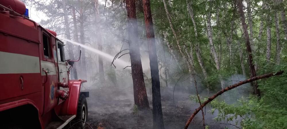 Площадь лесного пожара в области Абай превысила 60 тыс. гектаров 