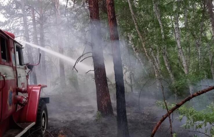 Площадь лесного пожара в области Абай превысила 60 тысяч гектаров 