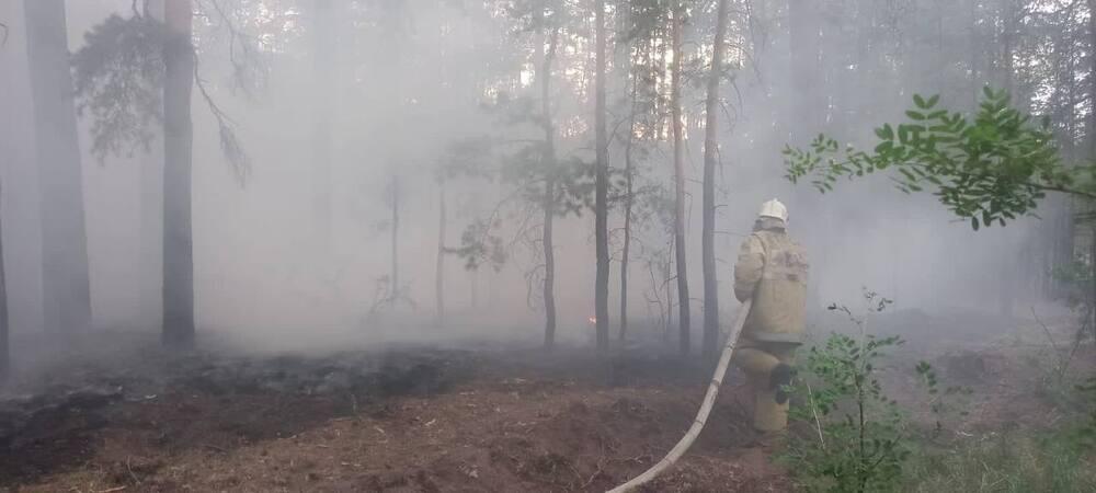 В правительстве заявили о снятии угрозы пожаров для населенных пунктов в области Абай