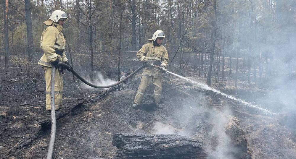 Лесной пожар в области Абай тушат на пяти участках