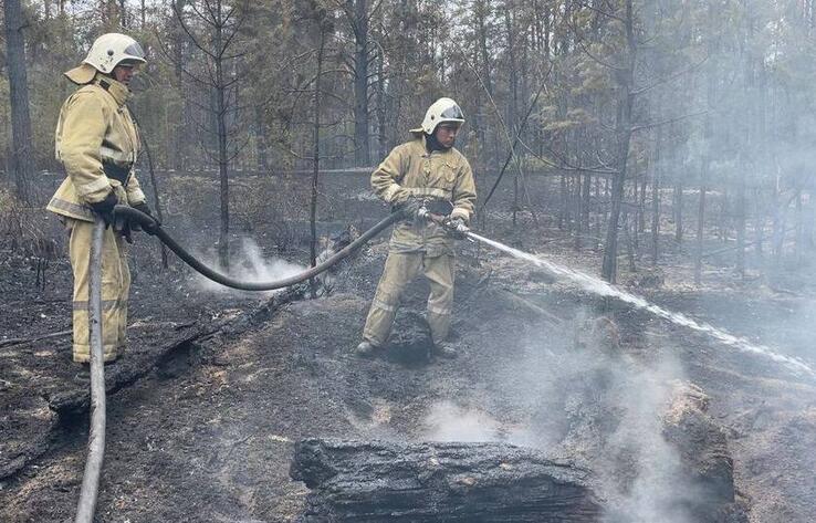 Лесной пожар в области Абай тушат на пяти участках