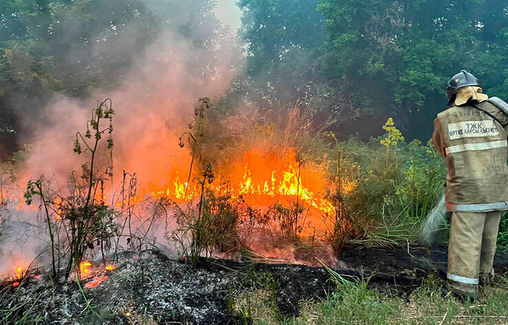 Природный пожар в Абайской области