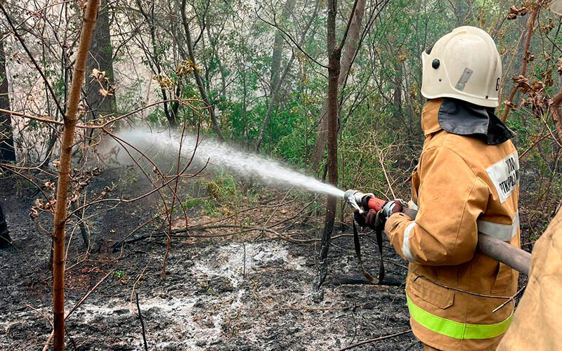 Природный пожар в Абайской области. Фото: МЧС РК