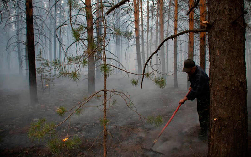 Природный пожар в Абайской области. Фото: Министерство экологии и природных ресурсов