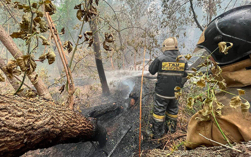 Fire in the Abai region. Images | MES RK