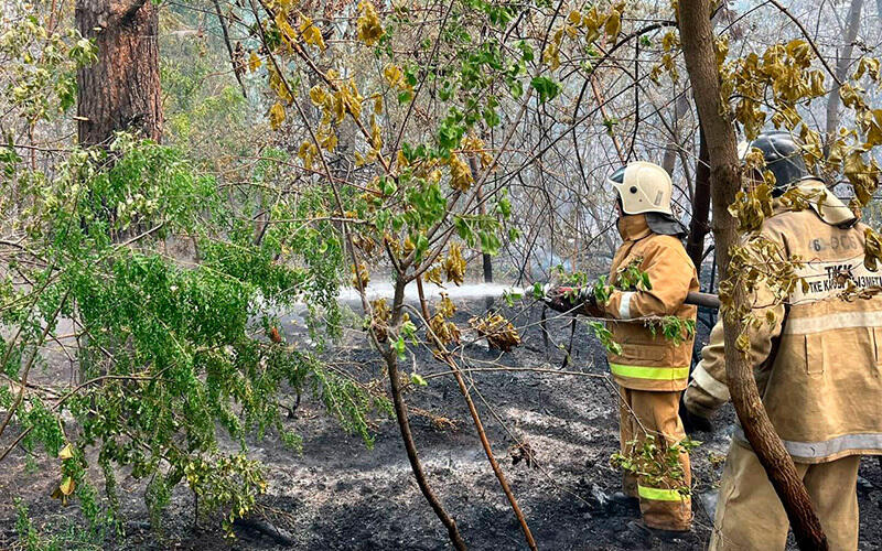 Fire in the Abai region. Images | MES RK