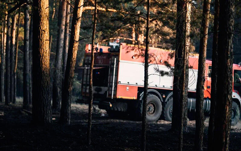 Fire in the Abai region. Images | Ministry of Ecology and Natural Resources