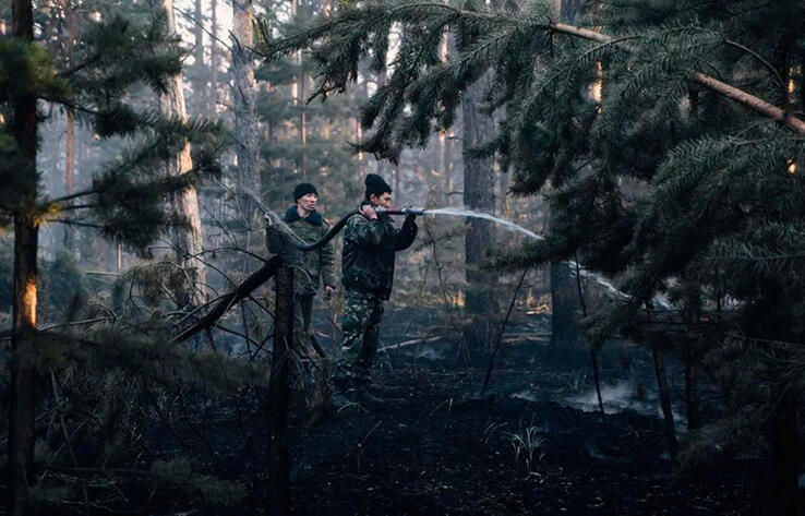 Body of missing forester found in Abai region