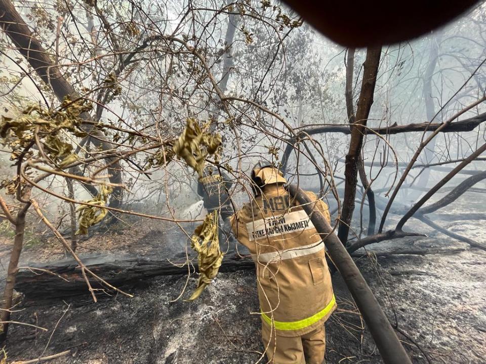 Пожар в Абайской области: в МЧС назвали примерные сроки ликвидации