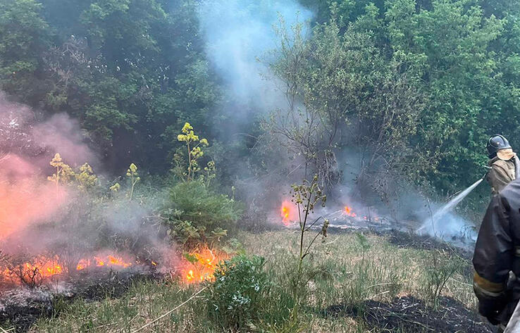 Полиция показала кадры работы во время пожаров в Абайской области