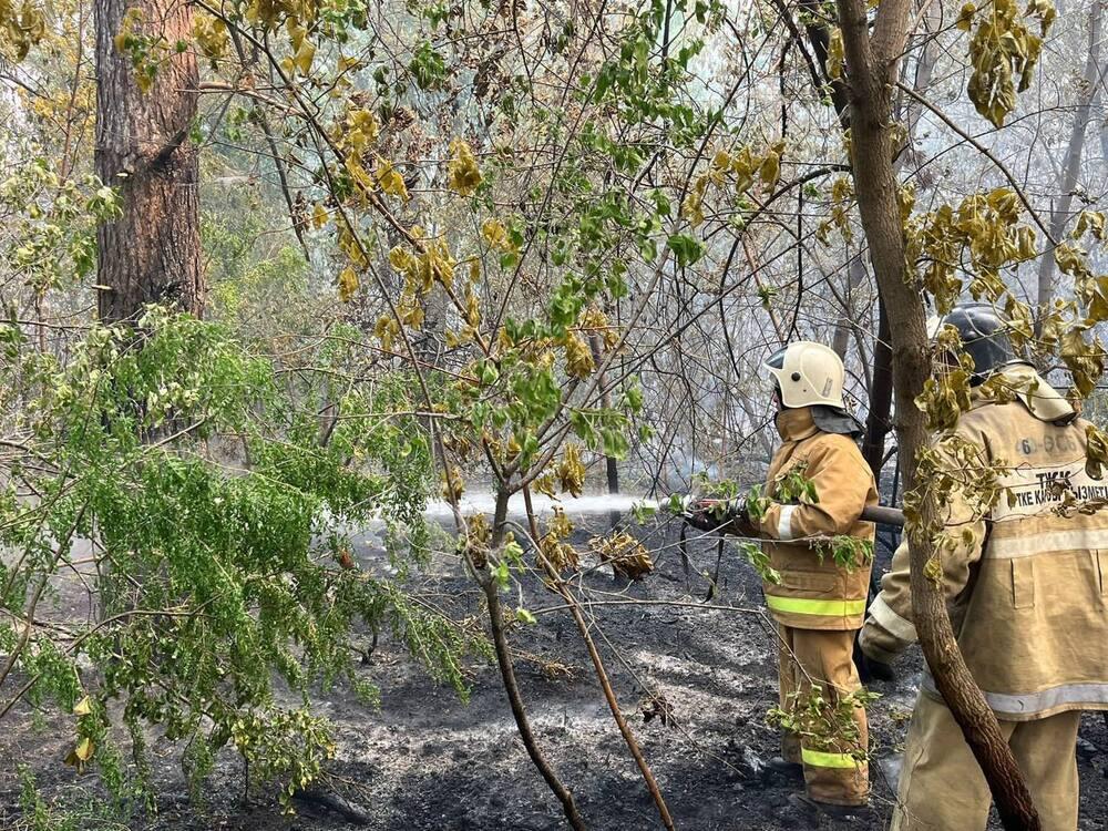 Одной из причин пожара в Абайской области мог стать поджог