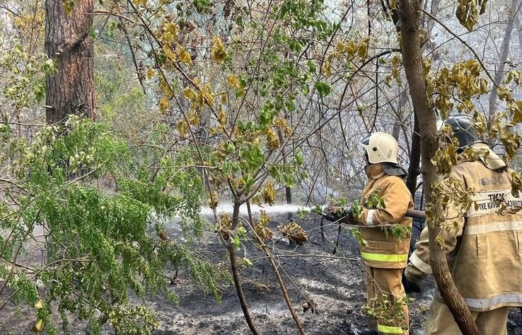 Одной из причин пожара в Абайской области мог стать поджог