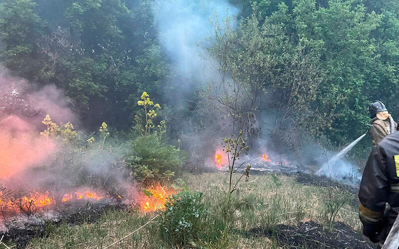 Сотрудники Минтруда проведут расследование гибели людей при тушении пожара в Абайской области 
