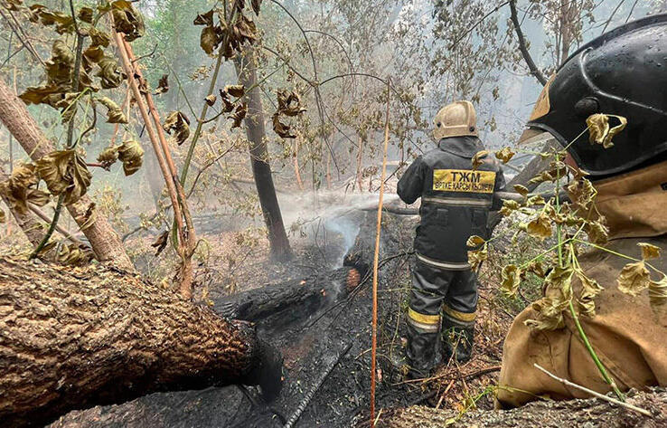 Три села в безопасности, угроза возгорания отсутствует - замакима Абайской области
