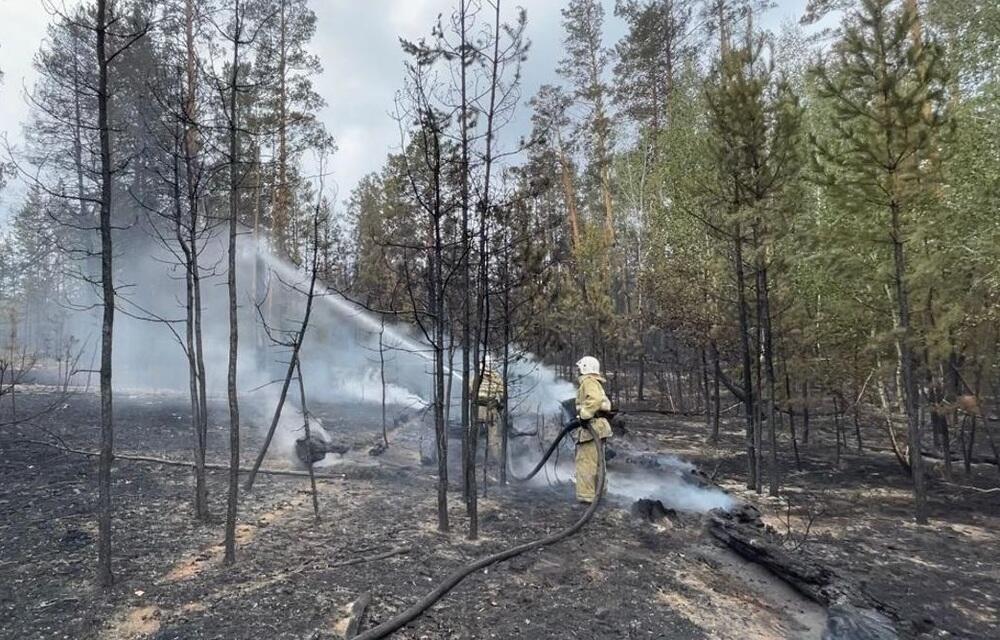 Семьям погибших при пожаре в области Абай выплатят по 7 млн тенге и еще по 2 млн на каждого ребенка
