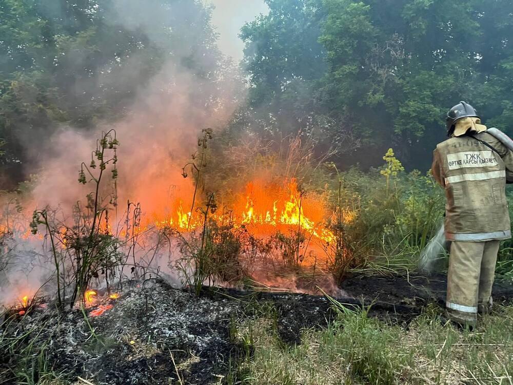 Скляр о пожаре в Абайской области: Мы упустили первоначальный момент