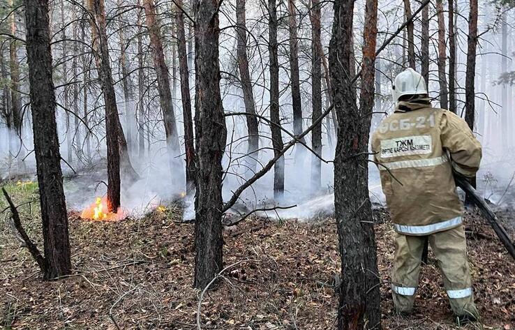 В рамках дела о пожарах в Абайской области допросят экс-главу МЧС, министра экологии и акима региона - Генпрокуратура