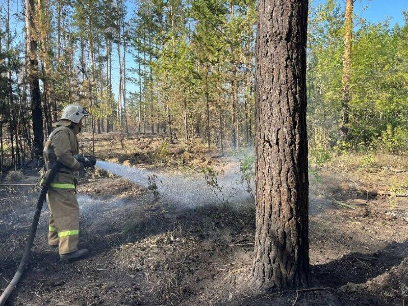 Пожар в Абайской области: продолжается тушение на четырех участках
