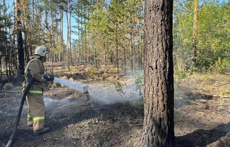 Пожар в Абайской области: продолжается тушение на четырех участках
