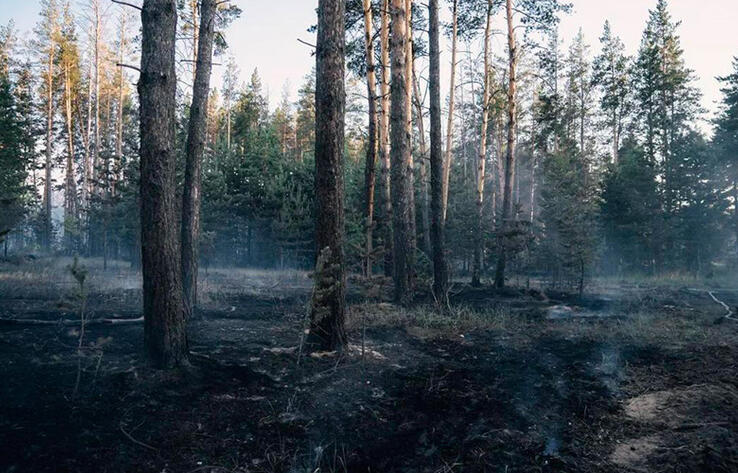 Казахстанцы собрали 200 млн тенге вместе с Kaspi.kz для пострадавших от пожара
