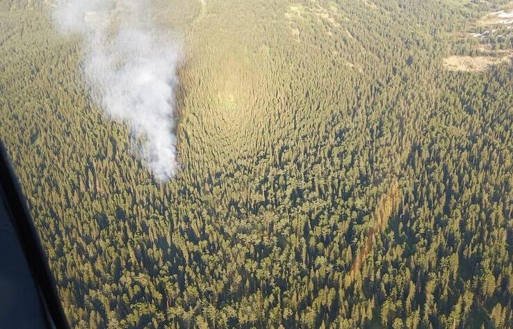 Шығыс Қазақстан облысындағы ұлттық саябақта өрт шықты