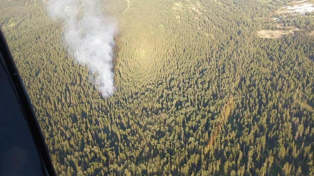 Пожар в Катон-Карагайском нацпарке ВКО ликвидирован