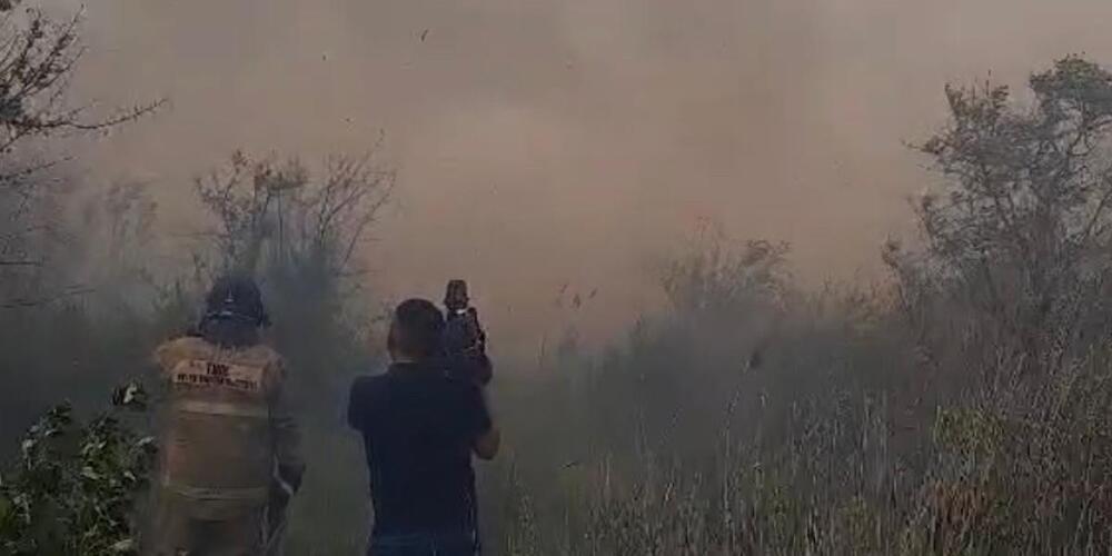 Возгорание камыша под Астаной тушат 140 пожарных 