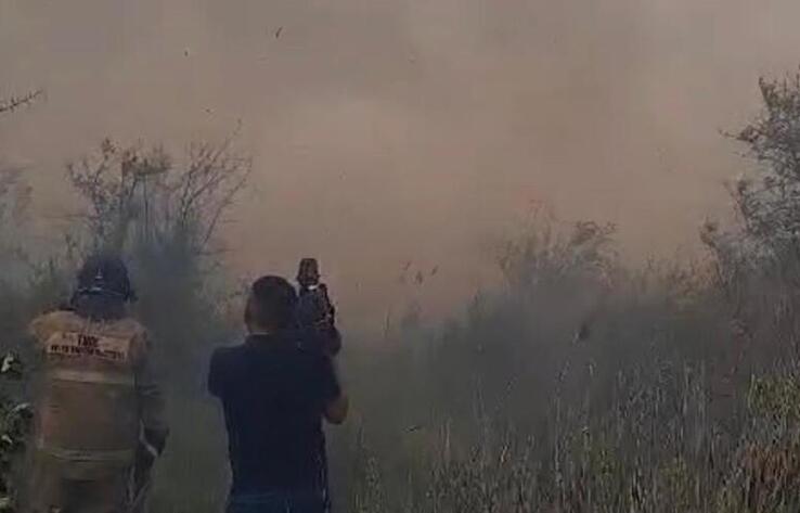 Возгорание камыша под Астаной тушат 140 пожарных 