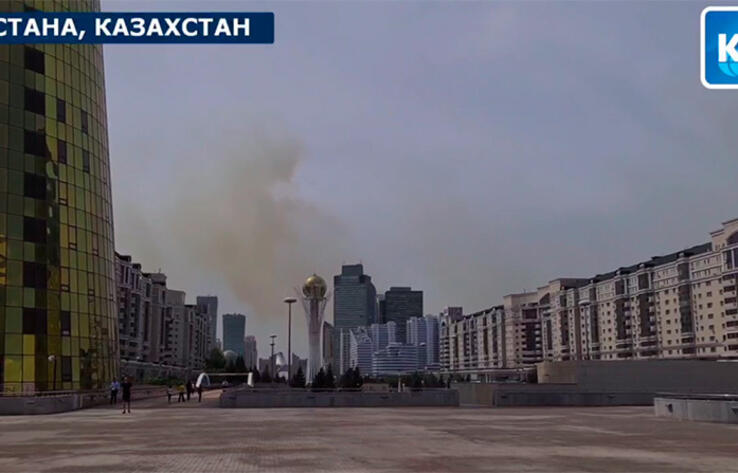 Dead trees reportedly catch fire outside Astana