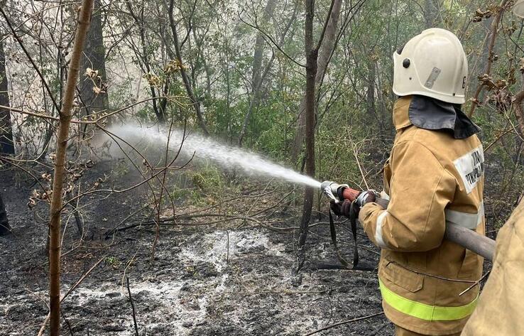 Fire threat remains high across Kazakhstan