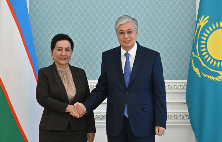 Президент Казахстана обсудил вопросы сотрудничества с председателем сената Узбекистана 