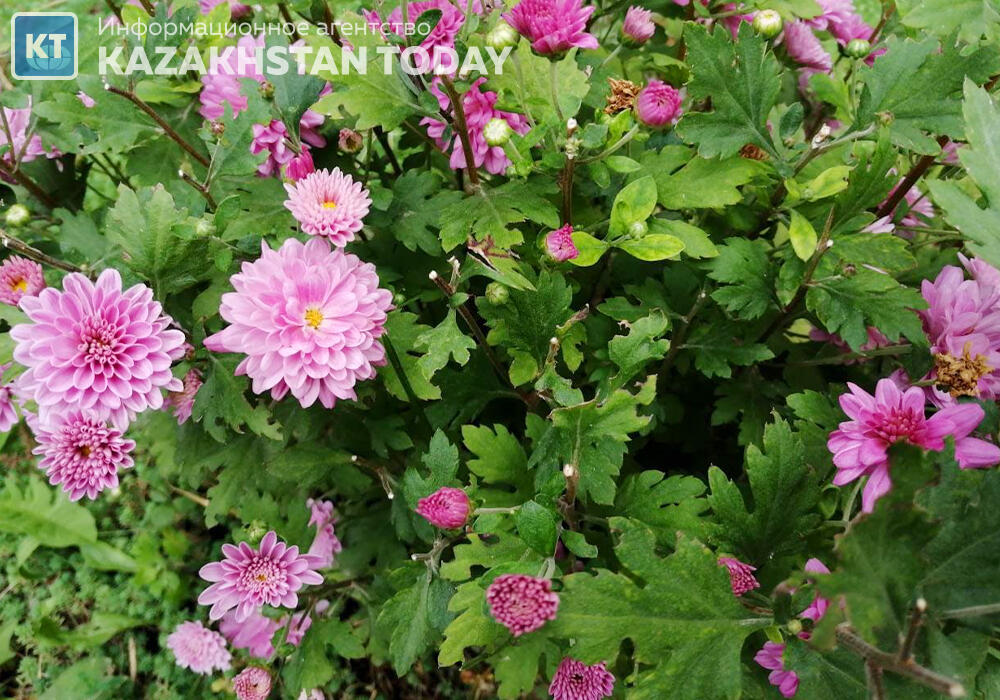 Какая погода ожидается в Казахстане во вторник