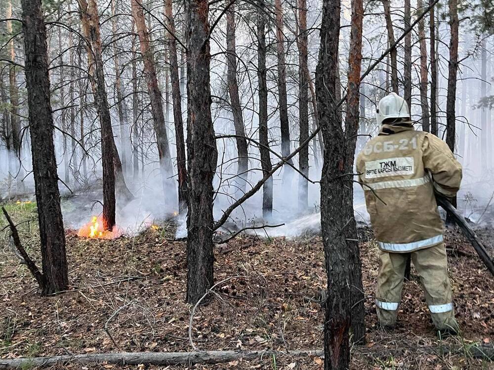 Его просто допросили - Асылов о статусе Ильина по делу о пожарах в Абайской области