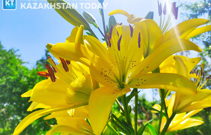 Синоптики рассказали о погоде в Казахстане в среду