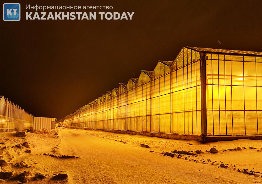 В Казахстане фермерские теплицы смогут претендовать на возмещение расходов на электричество и газ
